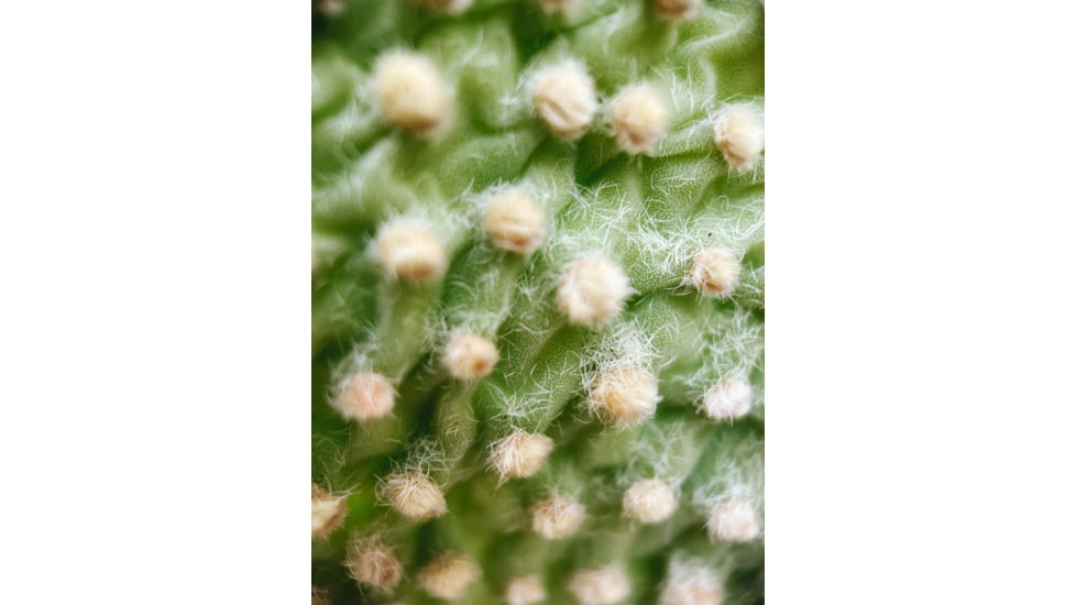 Moment T-Series Macro Lens, 10x, 130-107