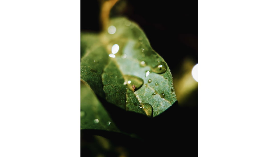 Moment T-Series Macro Lens, 10x, 130-107