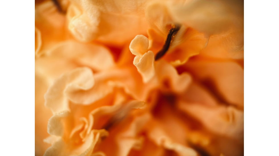 Moment T-Series Macro Lens, 10x, 130-107