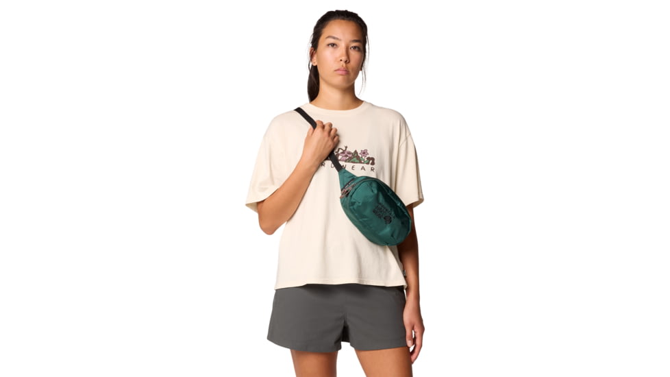 Mountain Hardwear Field 4L Day Hip Pack, Aqua Green, O/S, 190423042319