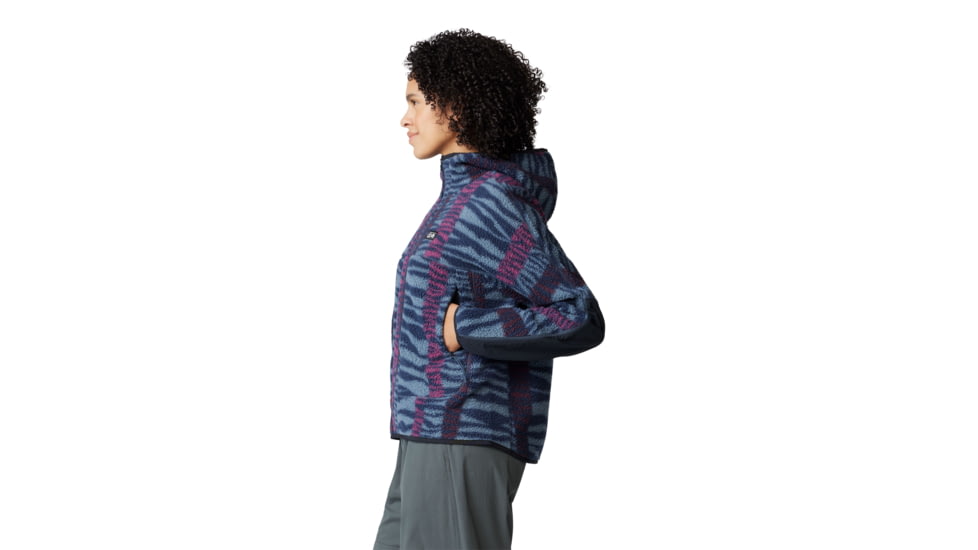 Mountain Hardwear HiCamp Fleece Printed Hoody - Womens, Montauk Blue Ridge Stripe Print, Extra Large, 2104291430-XL
