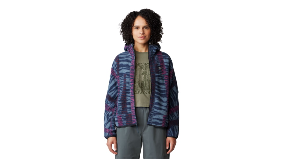 Mountain Hardwear HiCamp Fleece Printed Hoody - Womens, Montauk Blue Ridge Stripe Print, Extra Large, 2104291430-XL
