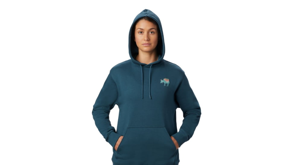 Mountain Hardwear Hotel Basecamp Pullover Hoody - Womens, Icelandic, Large, 1882291324-Icelandic-L