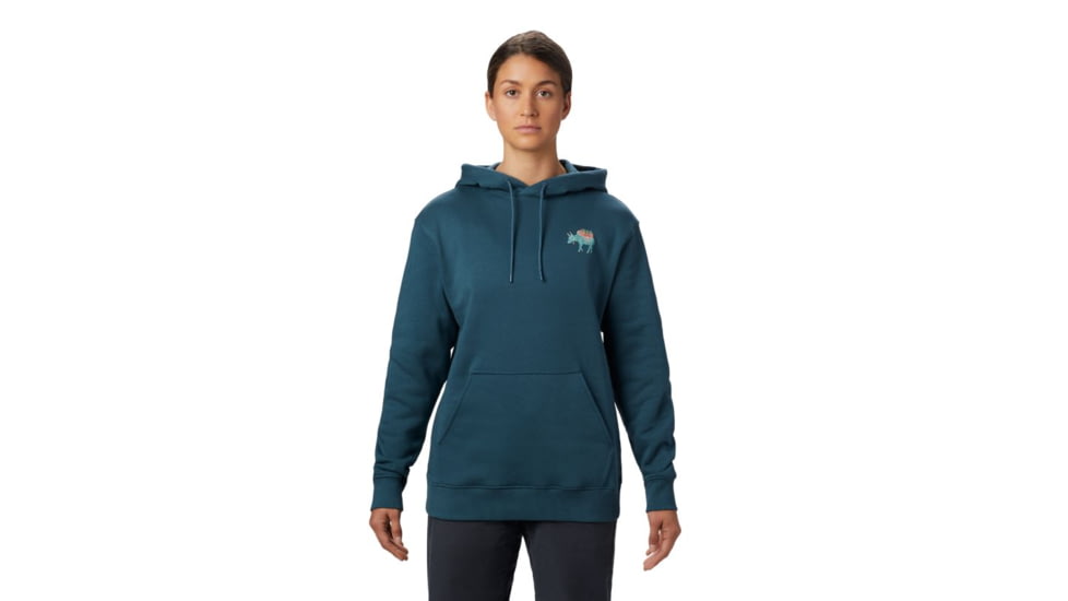 Mountain Hardwear Hotel Basecamp Pullover Hoody - Womens, Icelandic, Large, 1882291324-Icelandic-L
