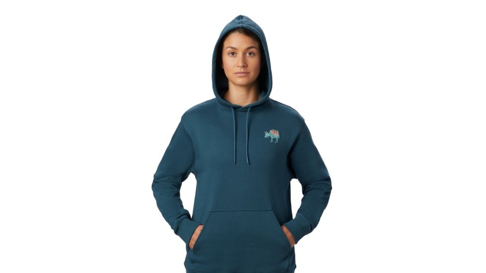 Mountain Hardwear Hotel Basecamp Pullover Hoody - Womens, Icelandic, Medium, 1882291324-M