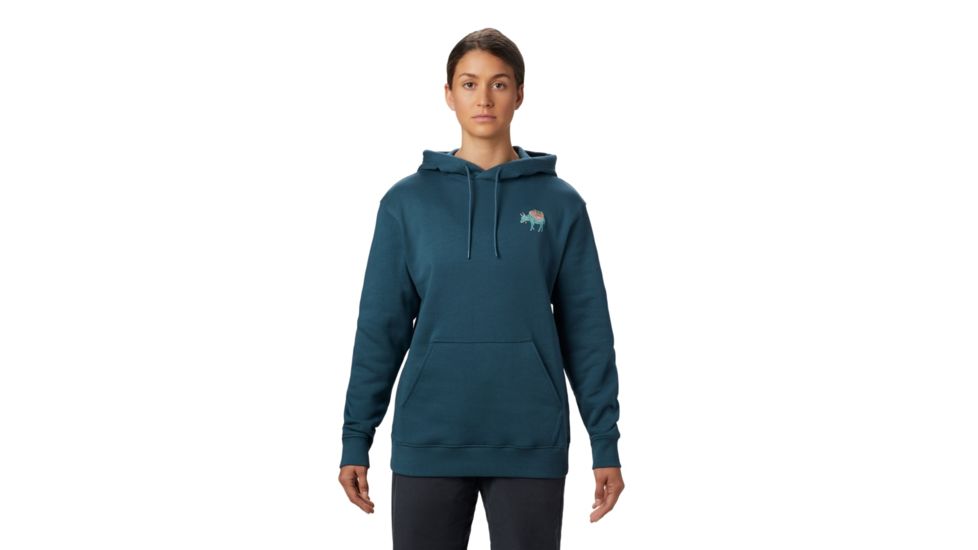 Mountain Hardwear Hotel Basecamp Pullover Hoody - Womens, Icelandic, Medium, 1882291324-M