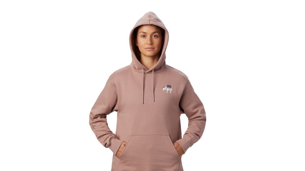 Mountain Hardwear Hotel Basecamp Pullover Hoody - Womens, Smoky Quartz, Extra Small, 1882291642-XS