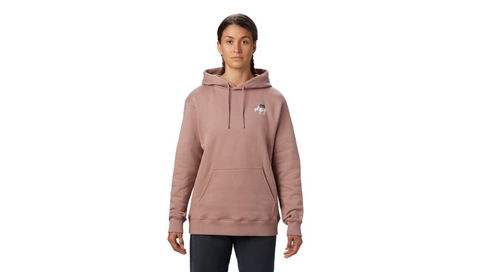 Mountain Hardwear Hotel Basecamp Pullover Hoody - Womens, Smoky Quartz, Extra Small, 1882291642-XS