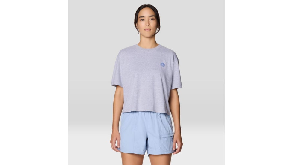 Mountain Hardwear Fossils W Boxy Crop Top - Women's, Hardwear Grey Heather, L, 2149631-057-L