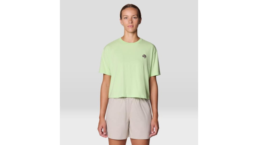 Mountain Hardwear Fossils W Boxy Crop Top - Women's, Frozen In Lime, L, 2149631-386-L
