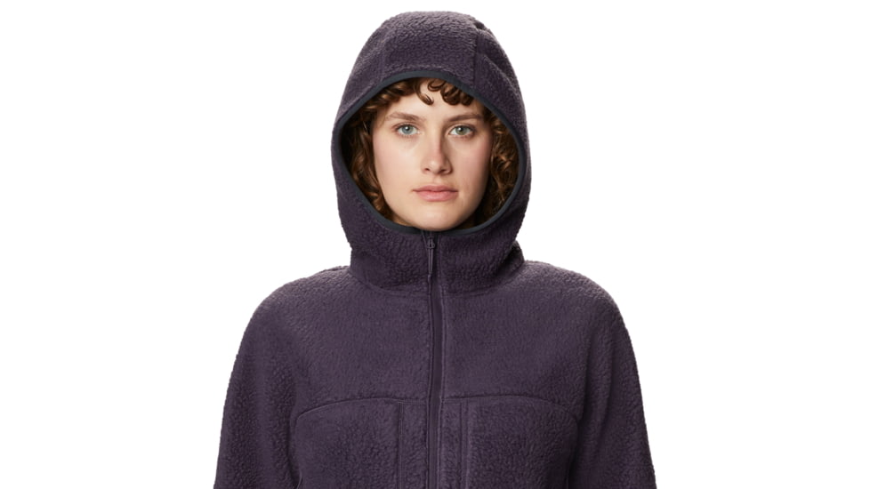 Mountain Hardwear Southpass Fleece Hoody - Women's, Blurple, Large, OL8864599-L