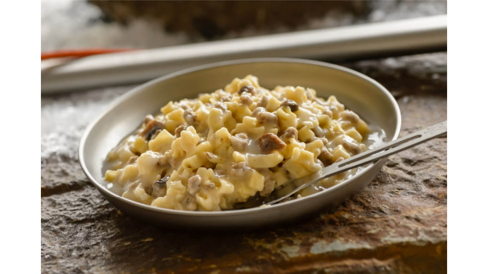 Mountain House BeefStroganoff, 55149