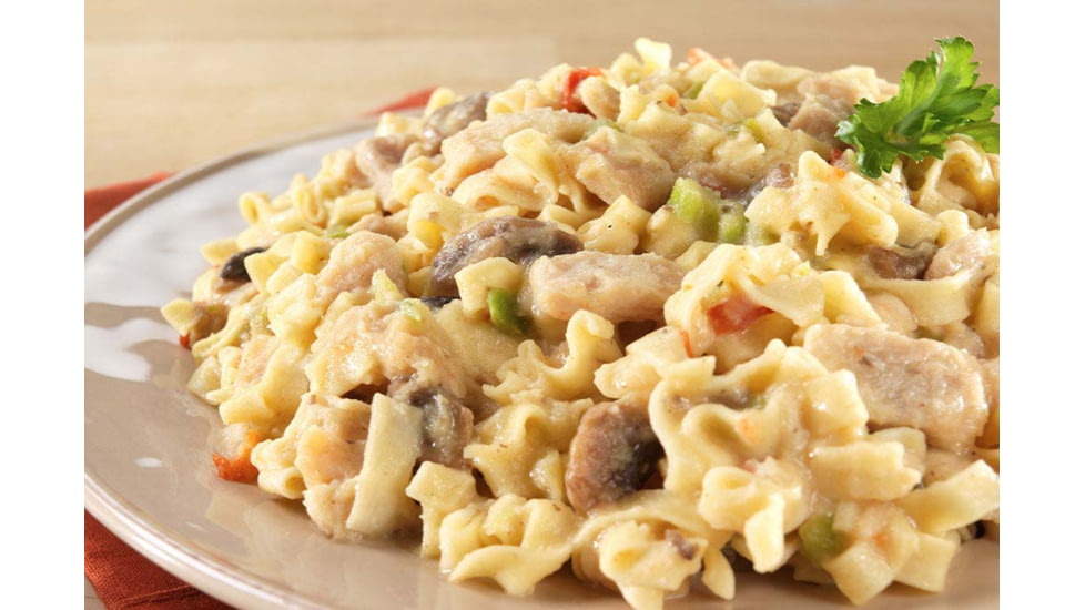 Mountain House Homestyle Chicken Noodle Casserole, 10 Servings, 30161