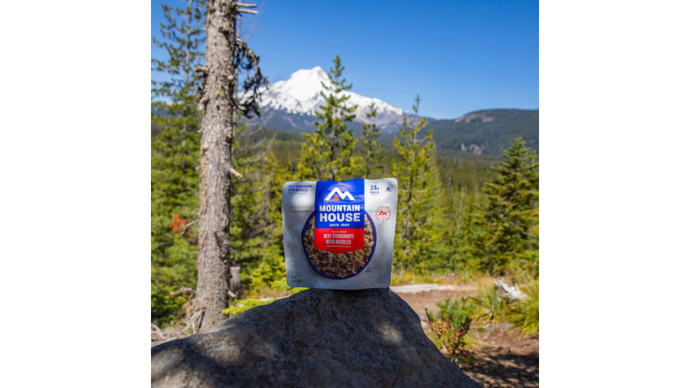 Mountain House Beef Stroganoff Pouch