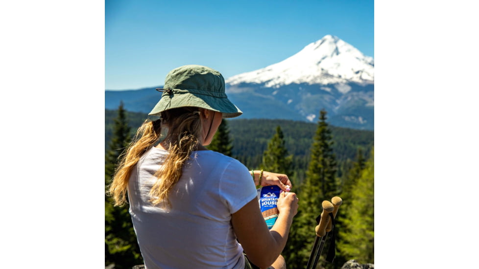 Mountain House Mint Chocolate Chip Ice Cream Sandwich Pouch