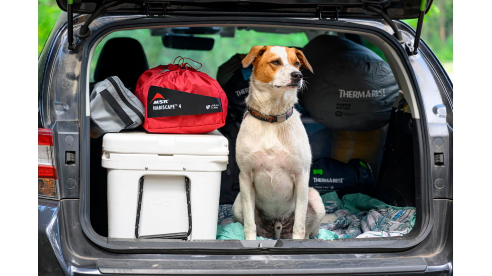 MSR Habiscape 4 Tent, Glacial Blue, 4, 11595