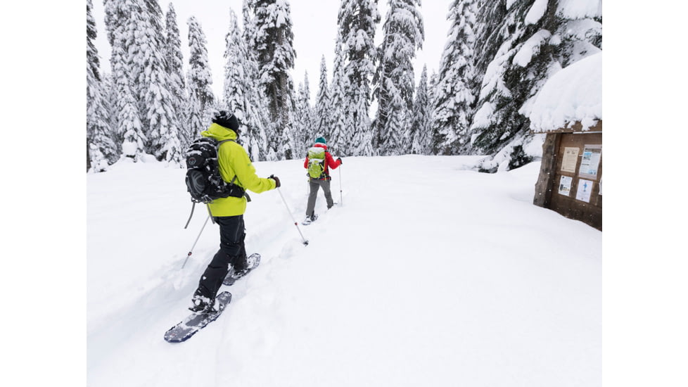 MSR Poles DynaLock Trail Al2-sec Trekking Poles