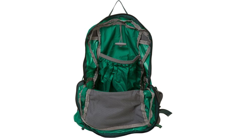 Mystery Ranch In and Out Daypack, Grass, 110311-330-00
