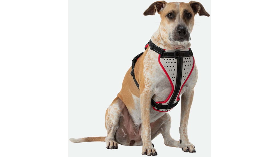 Nathan Reflective Dog Harness Sm NS8500-0579-S