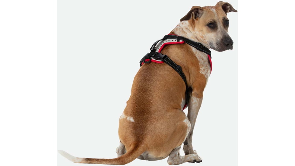 Nathan Reflective Dog Harness Sm NS8500-0579-S
