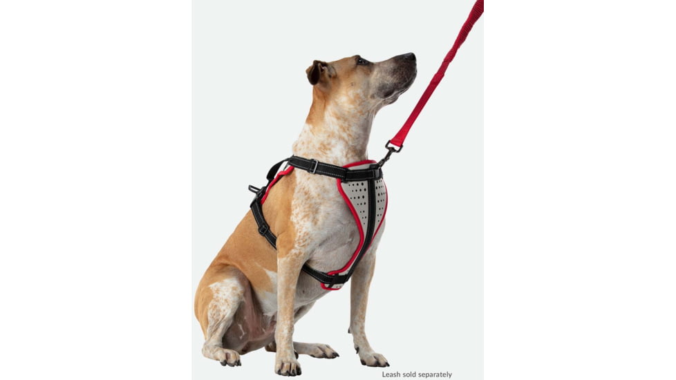 Nathan Reflective Dog Harness Sm NS8500-0579-S