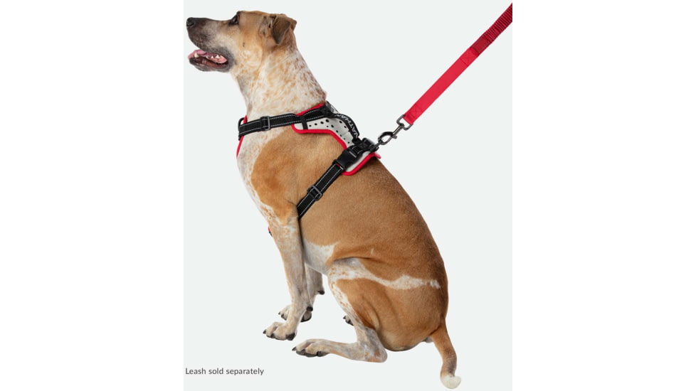Nathan Reflective Dog Harness Sm NS8500-0579-S