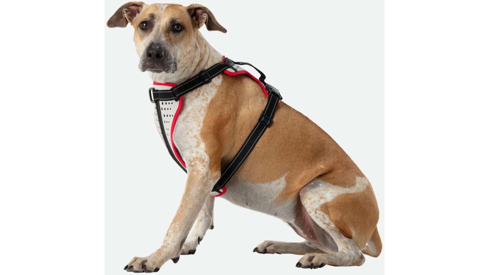 Nathan Reflective Dog Harness Sm NS8500-0579-S