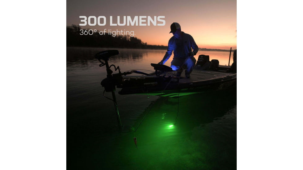 Nebo Submerser Underwater Fishing Light and Dock Light, 300 Lumens, NEB-OTH-0007