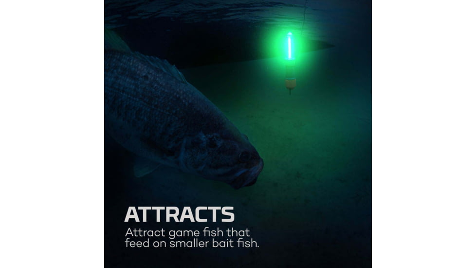 Nebo Submerser Underwater Fishing Light and Dock Light, 300 Lumens, NEB-OTH-0007
