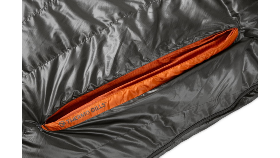 NEMO Equipment 2025 Disco 30F Endless Promise Sleeping Bag - Mens, Chimera, Regular, 811666037251