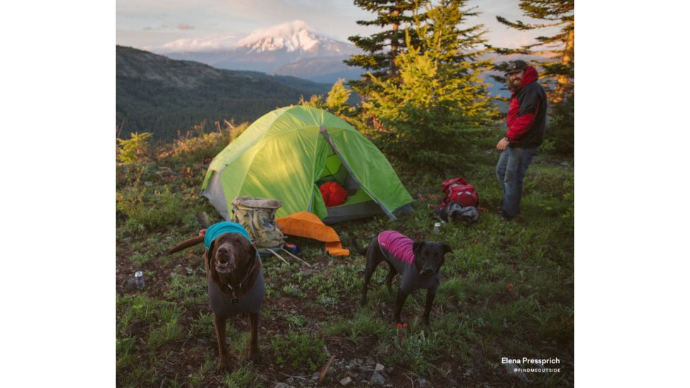 NEMO Equipment Losi Backpacking Tent, 2 Person, 814041018807