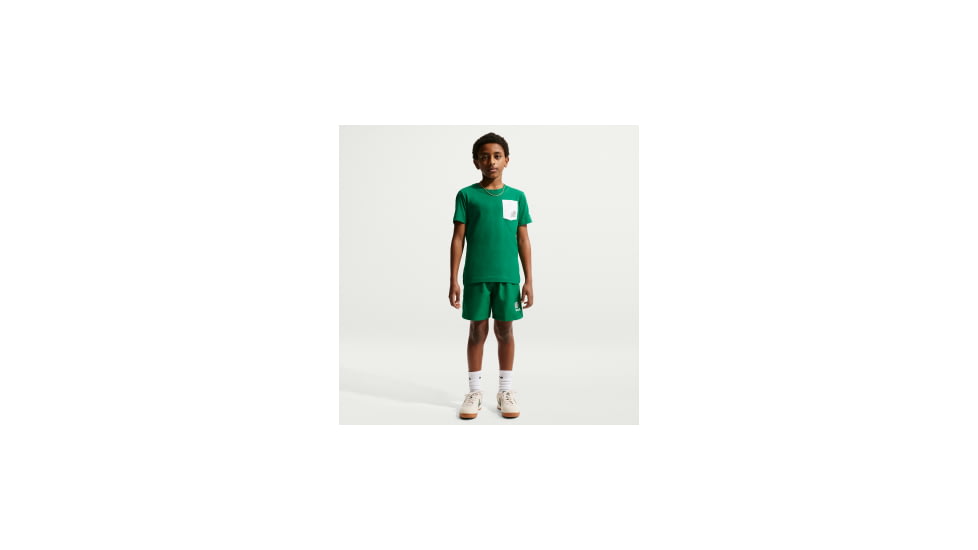 Nike Nike Multi Big Kids Boys Dri-FIT Training Shorts in Green IR4942-365, Green, XS, male, 1015930169-00198959842212