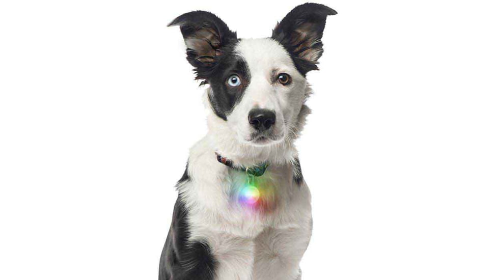 Nite Ize Carabiner Light, Disc-O, SLG-07-R6