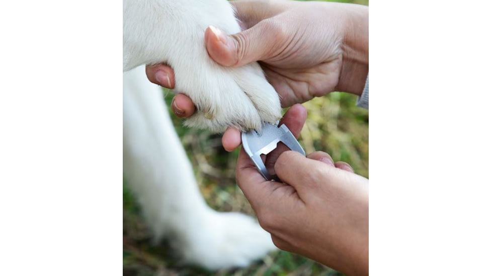 Nite Ize DoohicKey Pet Tool, Stainless KMTDT-11-R6