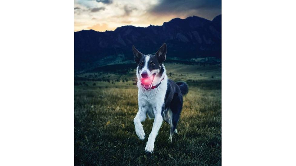 Nite Ize GlowStreak LED Ball Red GSB-10-R7