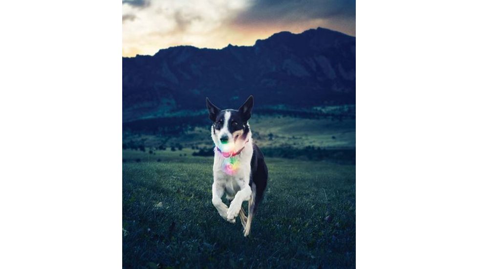 Nite Ize GlowStreak LED Ball/SpotLit Combo Disc-O GSBC-07-R7