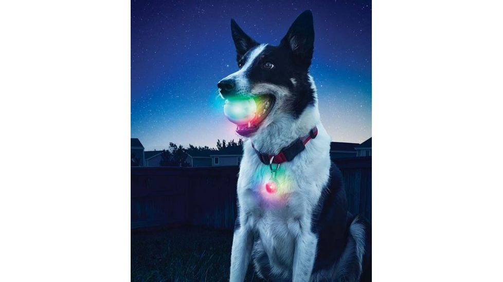 Nite Ize GlowStreak LED Ball/SpotLit Combo Disc-O GSBC-07-R7