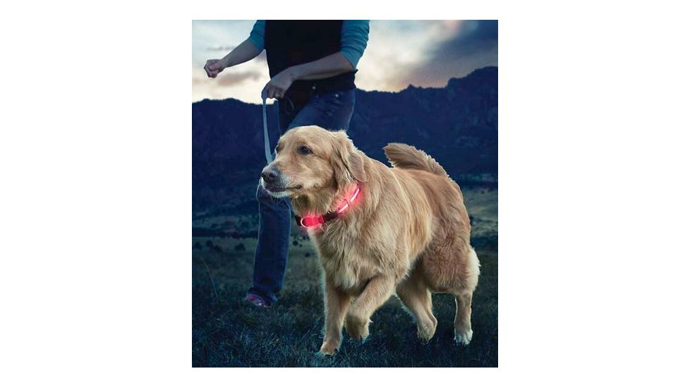 Nite Ize Nite Dawg LED Light Up Dog Collar L Red, L NND2L-10-R3