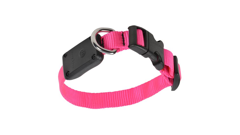 Nite Ize Nite Dawg XS LED Light Up Dog Collar,Neon Pink NND-03-35XS