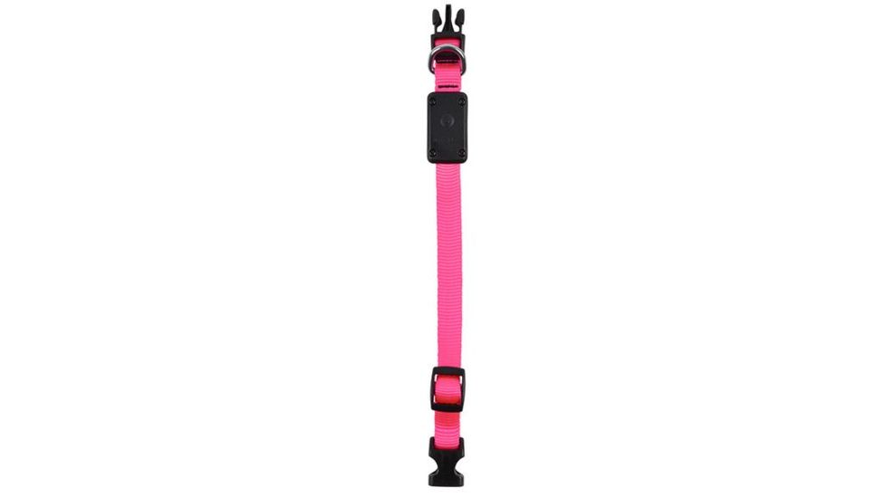 Nite Ize Nite Dawg XS LED Light Up Dog Collar,Neon Pink NND-03-35XS
