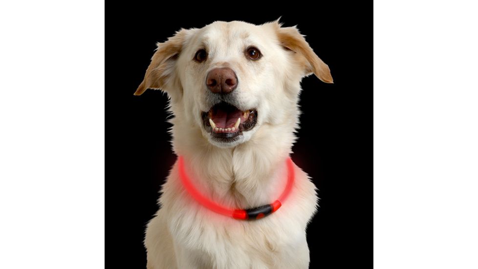 Nite Ize Nite Howl LED Pet Safety Necklace,Red LED NHO-10-R3