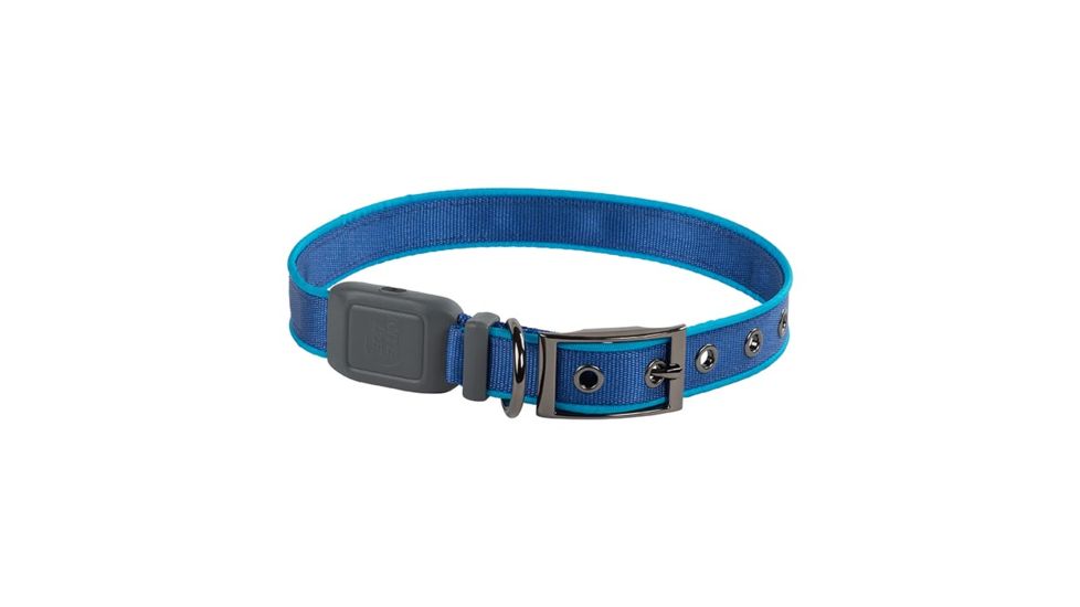 Nite Ize NiteDog Rechargeable LED Collar, Blue/Blue, Large, NDCRL-03-R3
