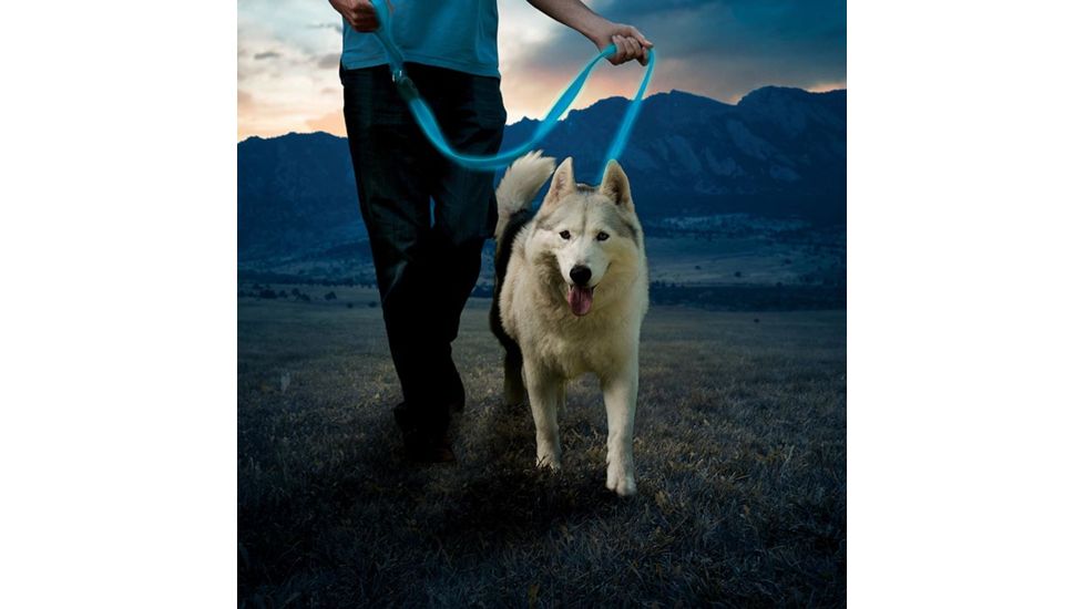 Nite Ize NiteDog Rechargeable LED Leash, Blue/Blue, NDLR-03-R3