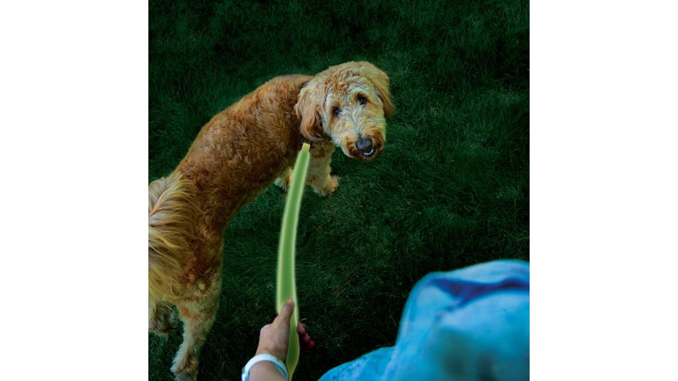 Nite Ize NiteDog Rechargeable LED Leash, Lime/Green, NDLR-17-R3