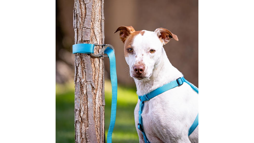 Nite Ize Pet S-Biner SlideLock, SBLL4-11-R6