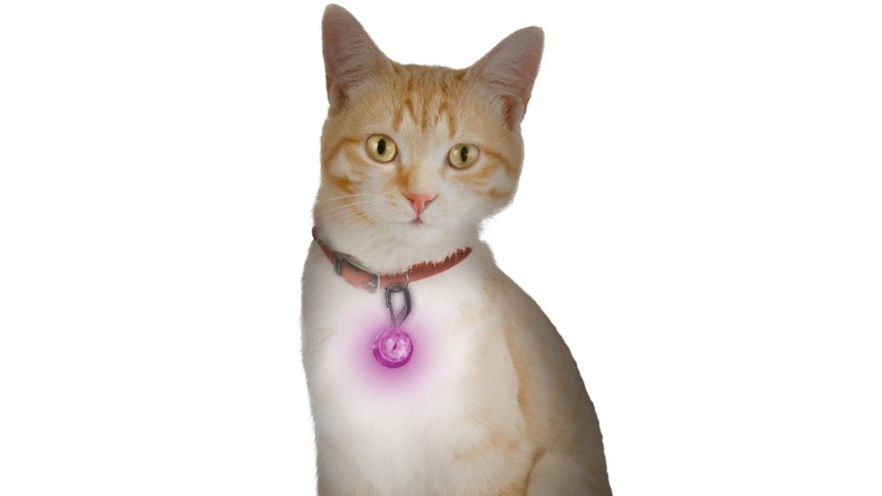 Nite Ize PetLit LED Collar Light, White LED - Jewel Pink PCL02-03-12JE