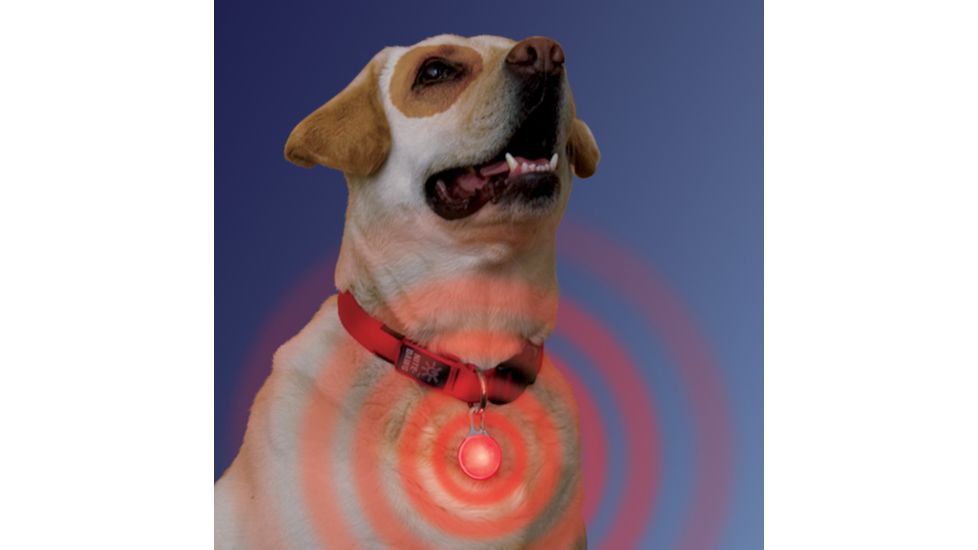 Nite Ize SpotLit Carabiner LED Light, Standard Packaging, Pink Plastic/White LED SLG12-03-02