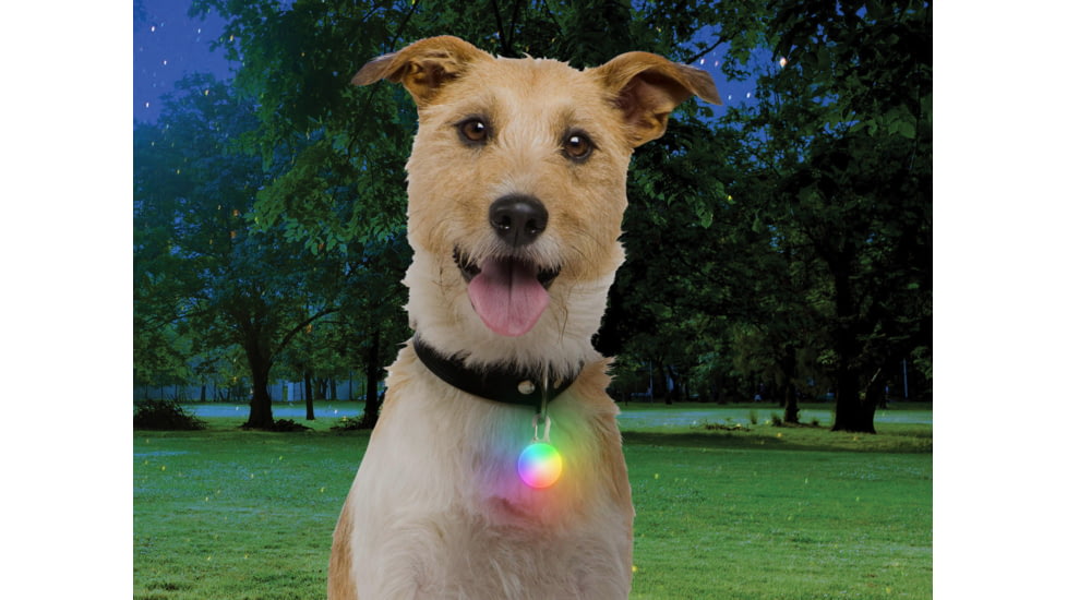 Nite Ize Spotlit Rechargeable Carabiner Light, Disc-O Tech, SLGSR-07S-R6