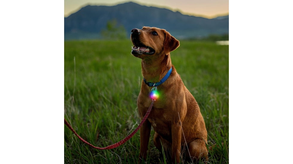 Nite Ize SpotLit Rechargeable Collar Light, Disc-O Tech, PSLGSR-07S-R6