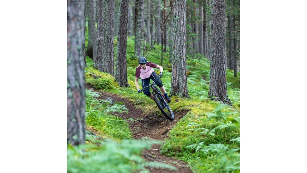 Norrona Fjora Flex Shorts - Womens, Indigo Night, Medium, 2205-20 2295 M